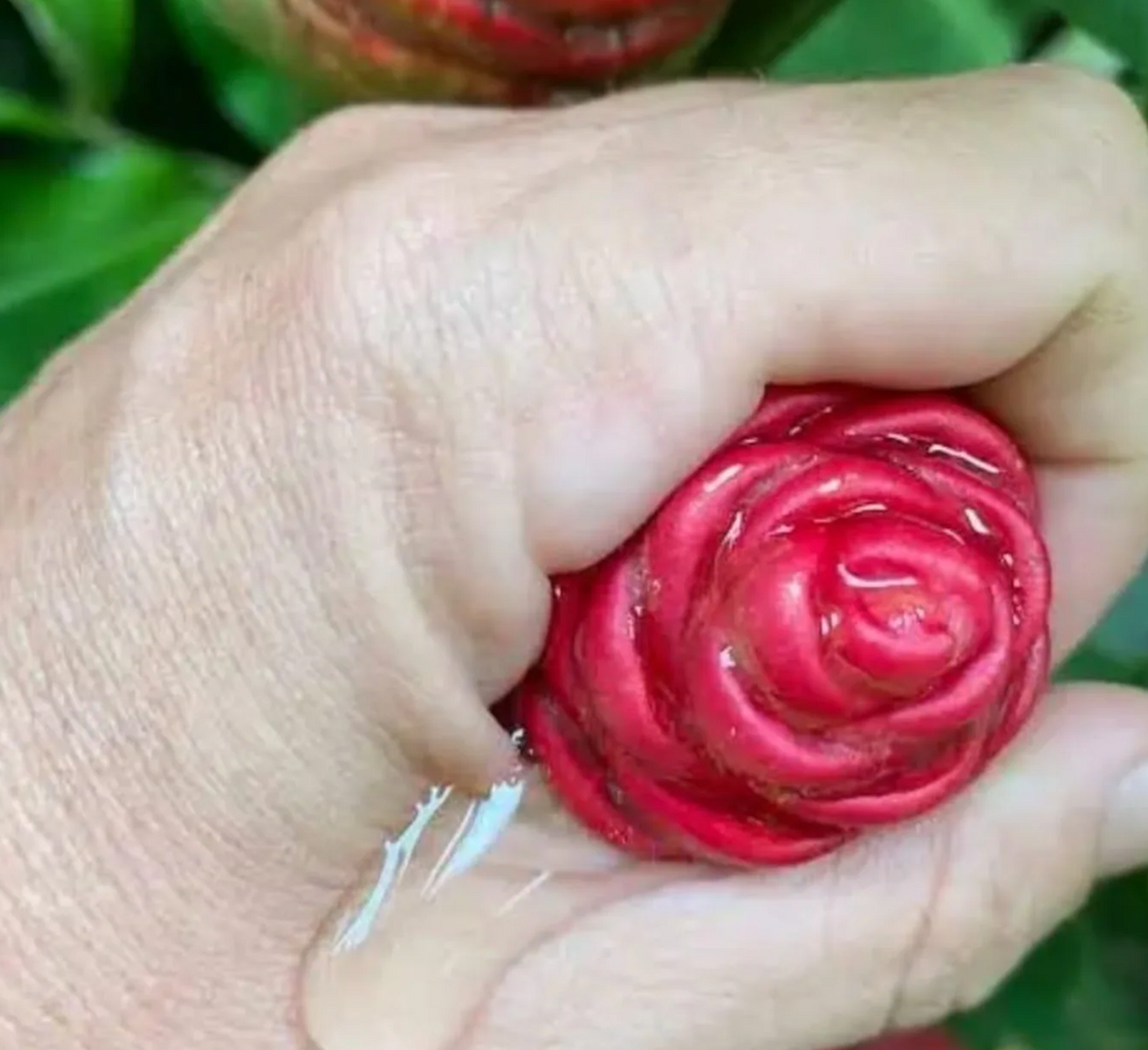 Bitter Ginger Shampoo