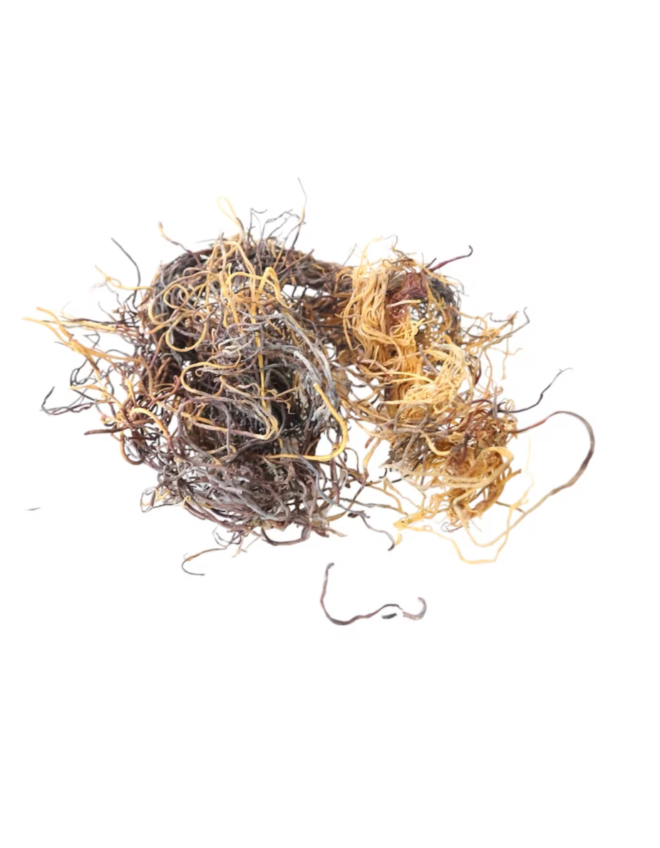 2 Duck Flowers & 8oz Sea Moss