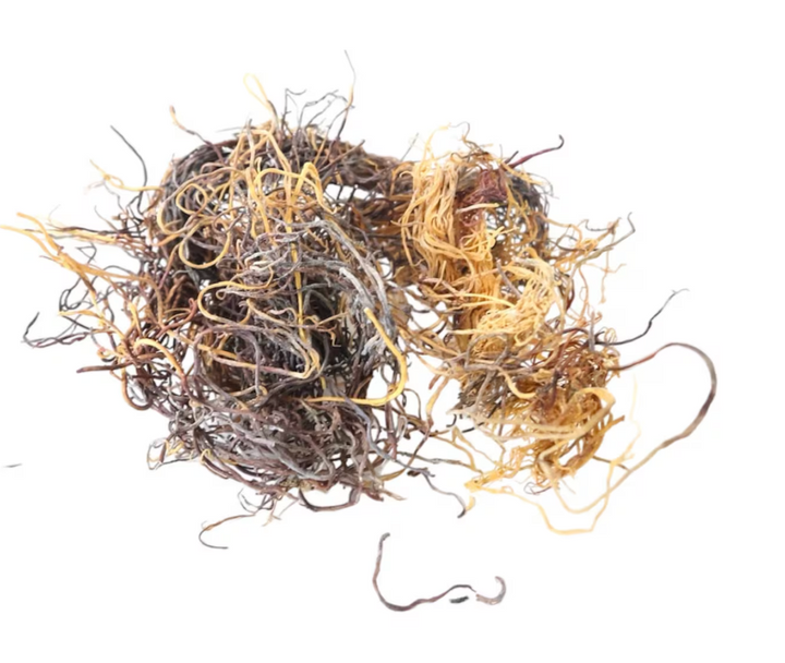 Sea Moss (Chondrus Crispus)