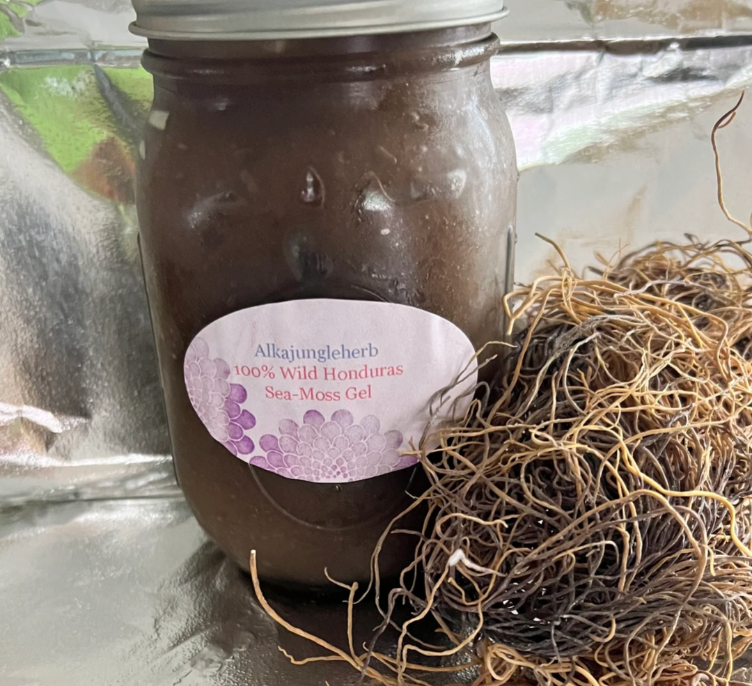 Sea Moss (Chondrus Crispus)