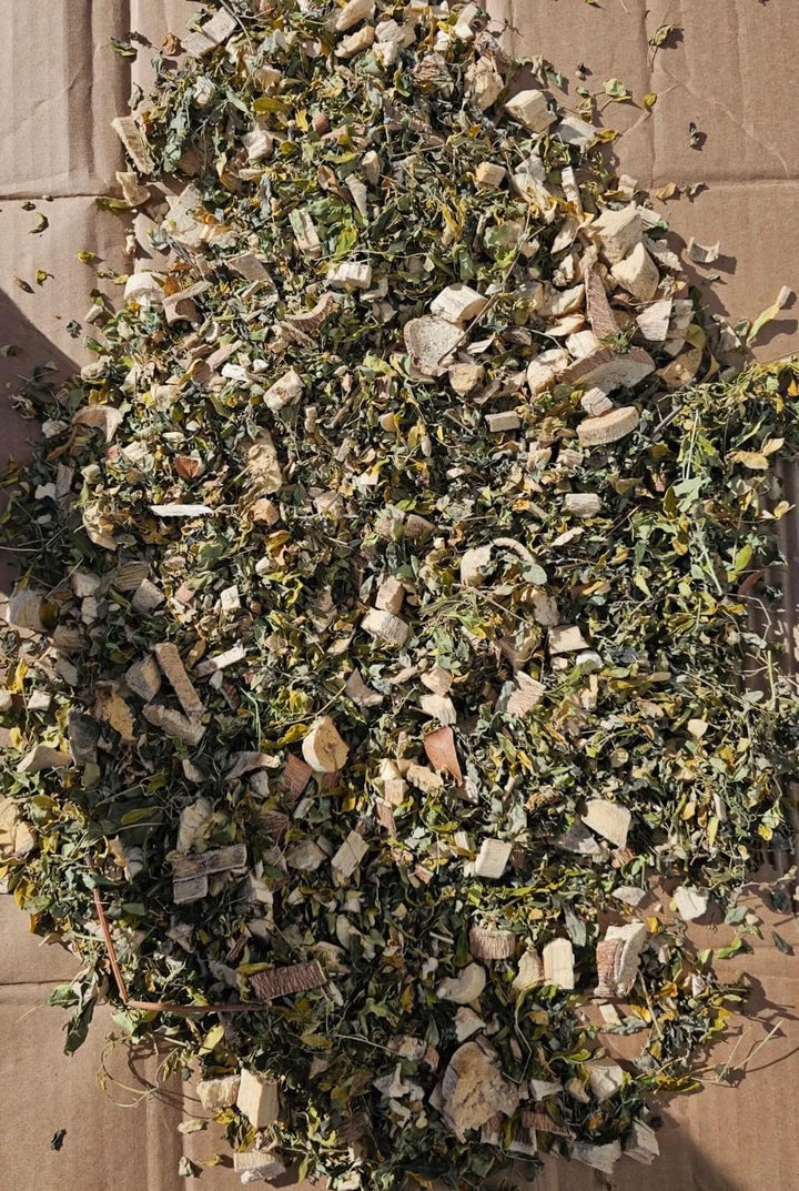 Honduras Moringa