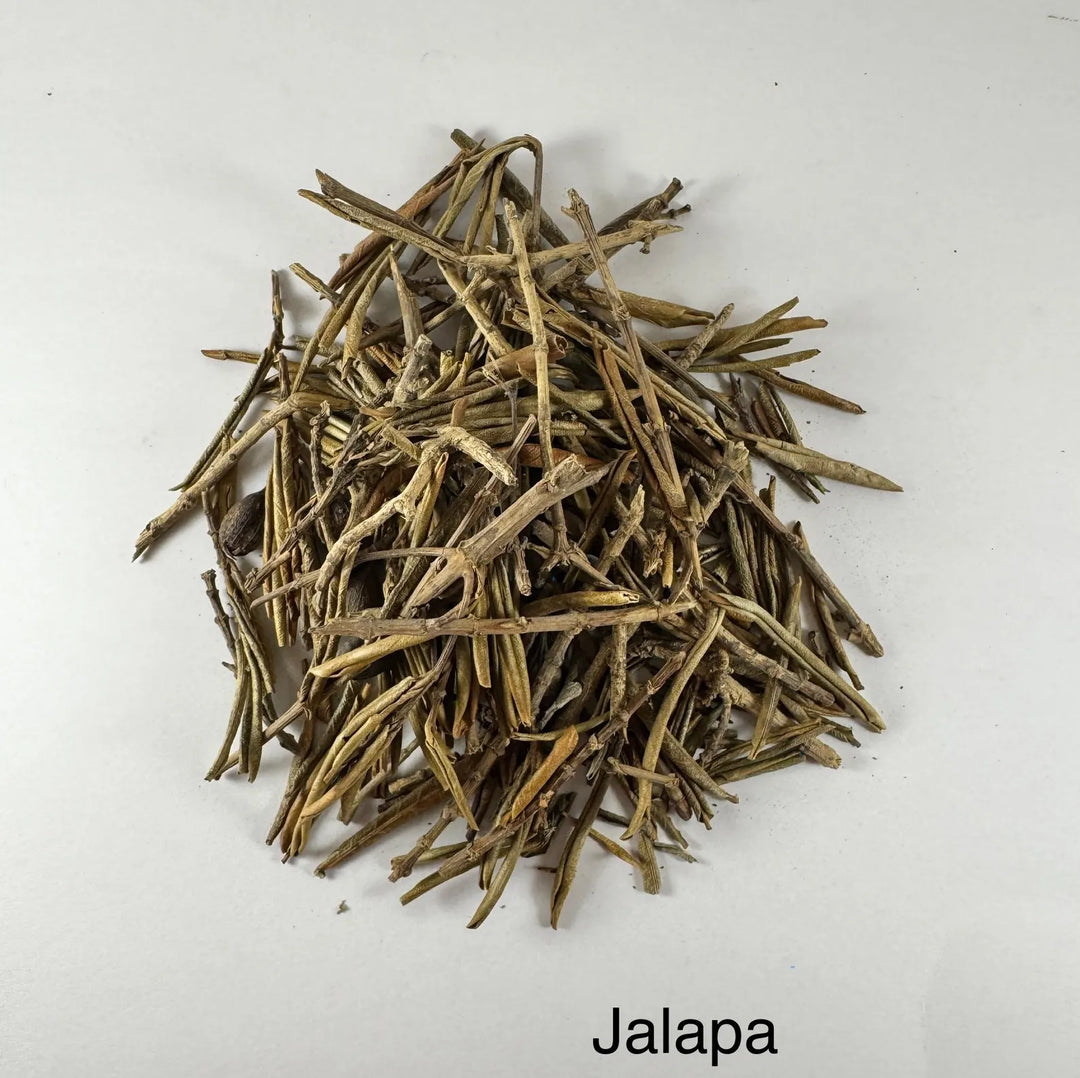 Jalapa