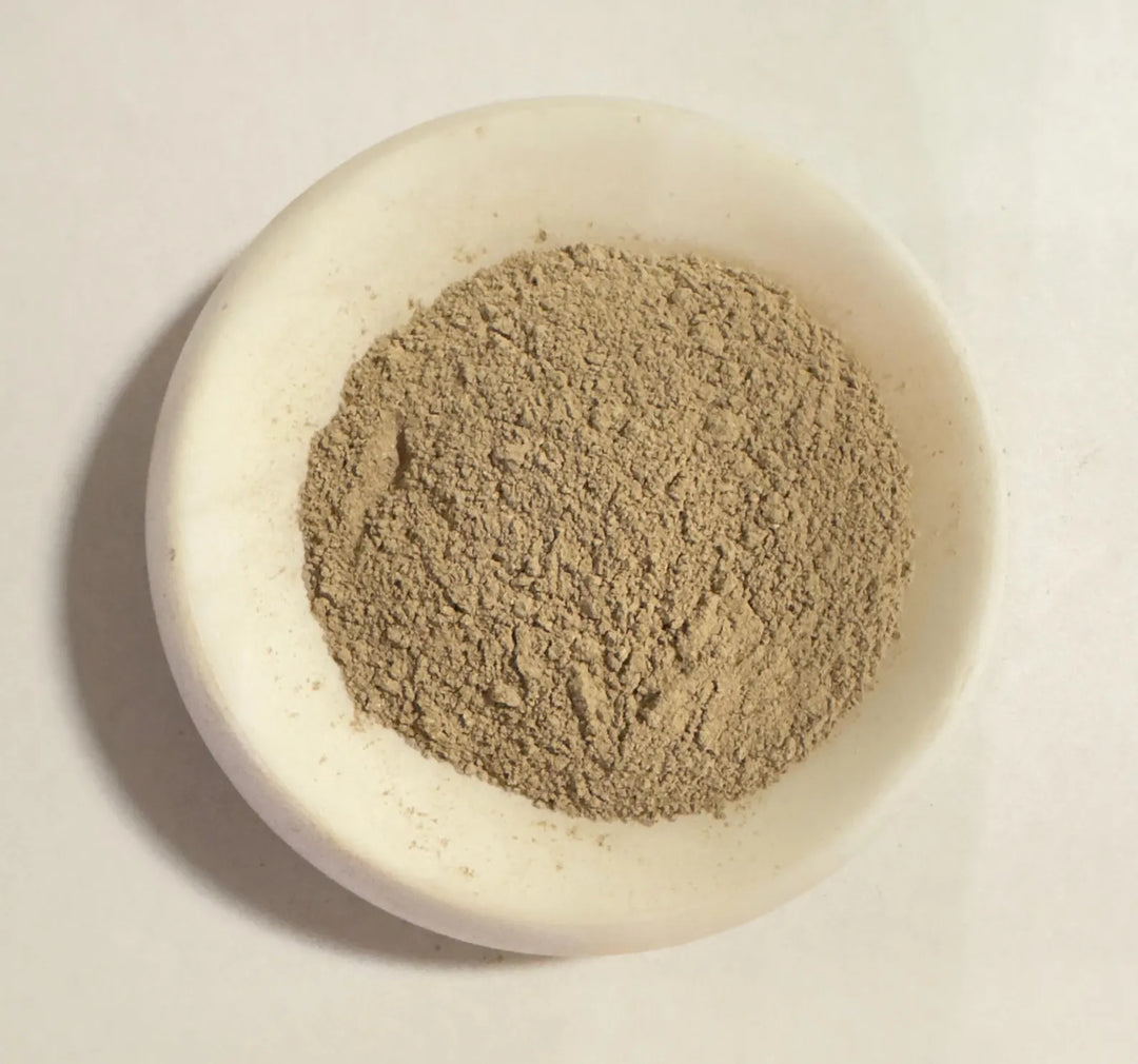 Lion's Mane Powder