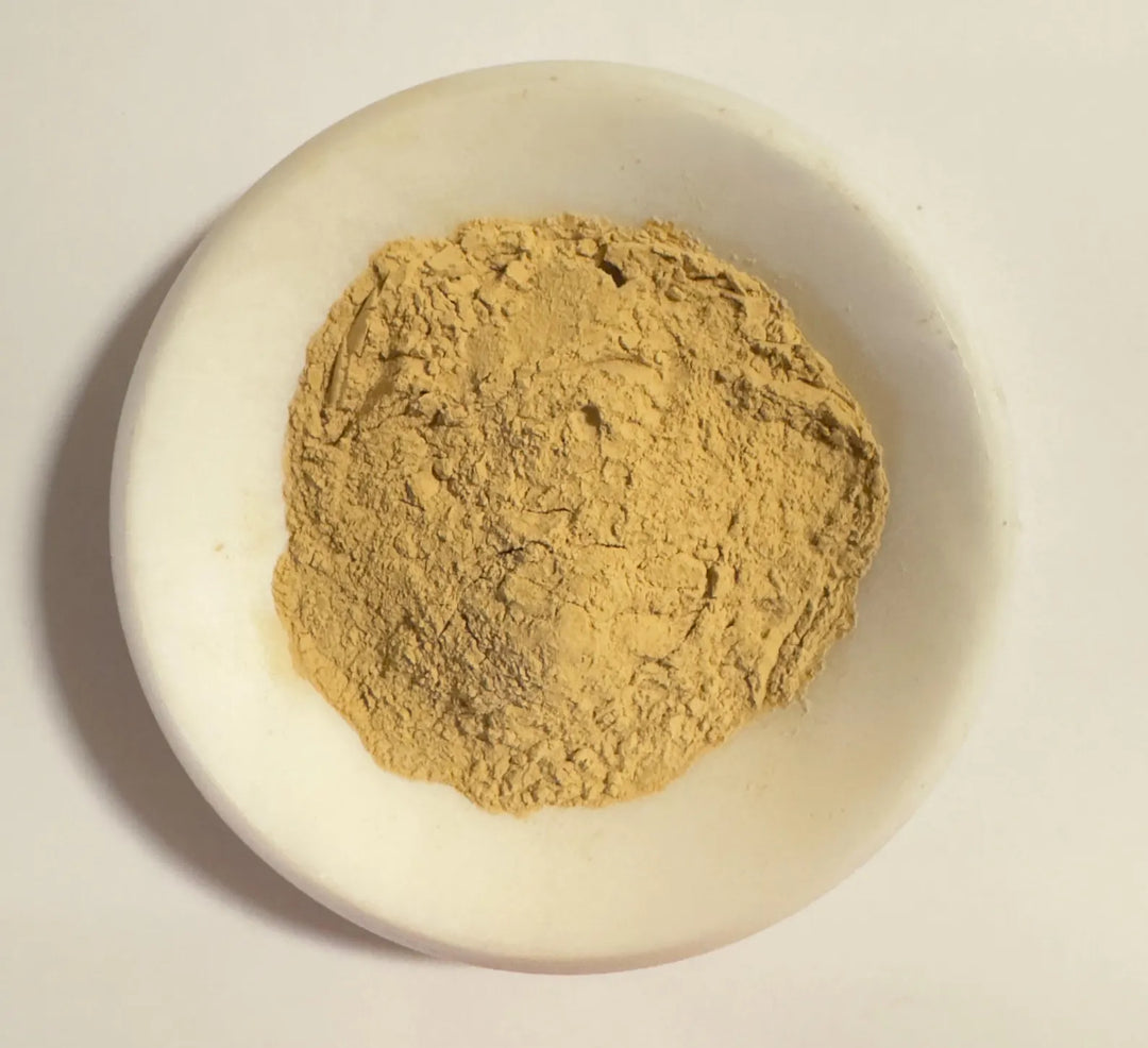 Ginseng Panax Extract